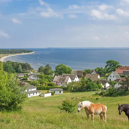 Rex Rugia Haus 17 08 Apartment