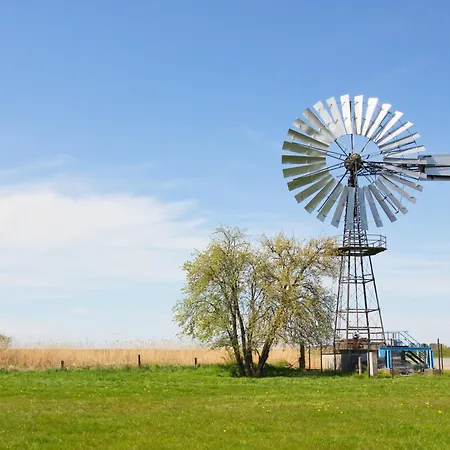 Apartment Rex Rugia Haus 17 08 Lobbe