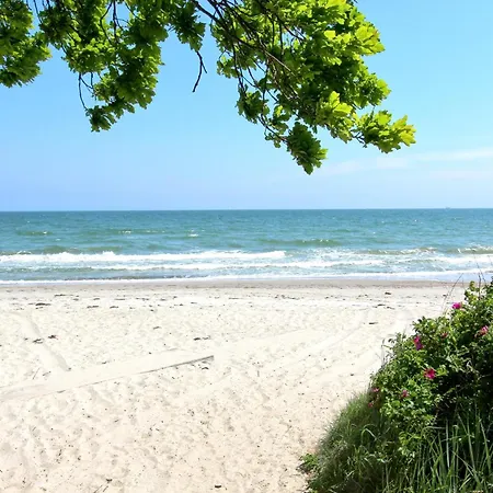 Rex Rugia Haus 17 08 * Lobbe